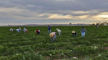 Family Farm Stays in Yuma Arizona