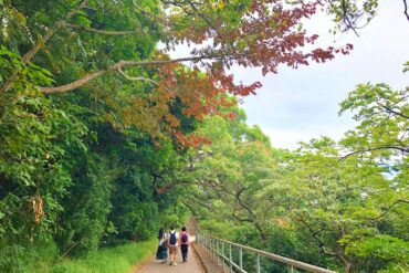 Family Walks With Kids in Kwun Tong Kowloon