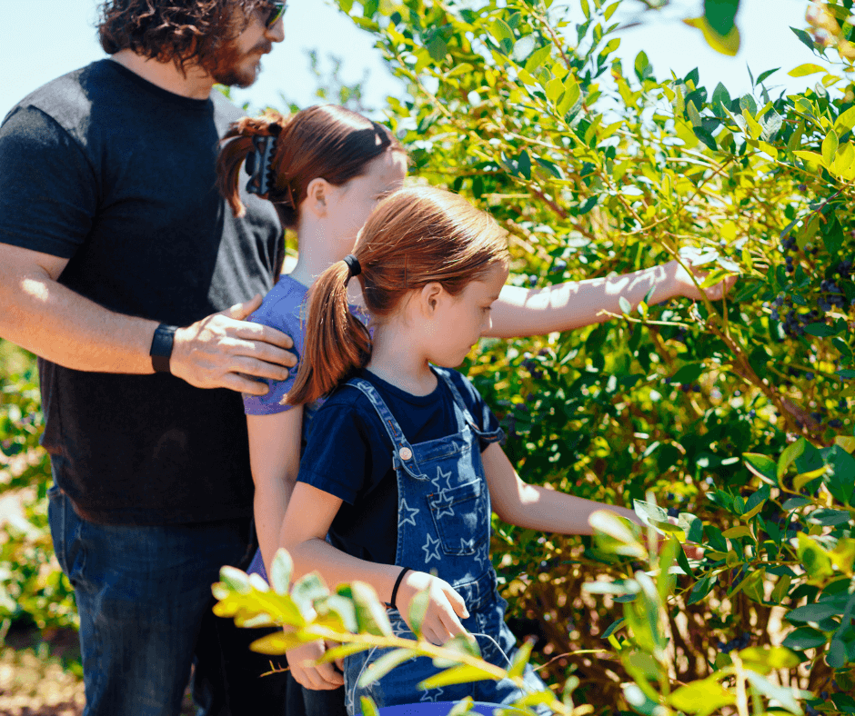 Family Walks With Kids in Modesto California