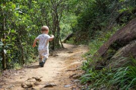 Family Walks With Kids in Sha Tin New Territories