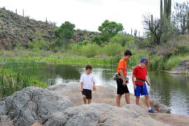 Family Walks With Kids in Tucson Arizona