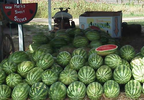 Farmers Markets in Albany Georgia