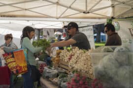 Farmers Markets in Albuquerque New Mexico