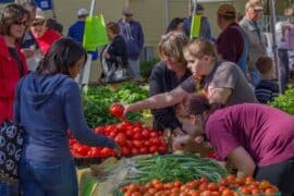 Farmers Markets in Allen Texas