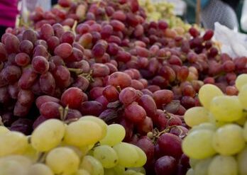 Farmers Markets in Antioch California