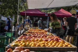 Farmers Markets in Arlington Texas