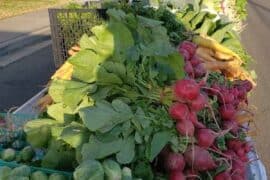 Farmers Markets in Baytown Texas