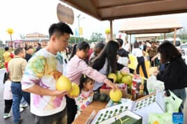 Farmers Markets in Bishan