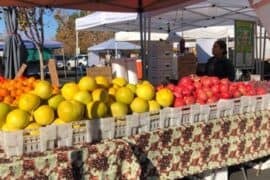 Farmers Markets in Castro Valley California