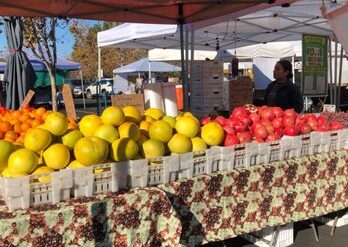 Farmers Markets in Castro Valley California