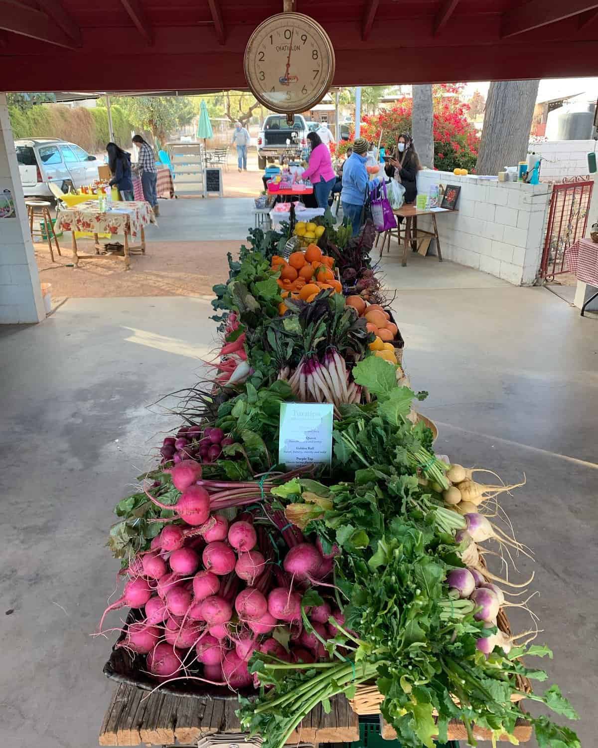 Farmers Markets in Chandler Arizona