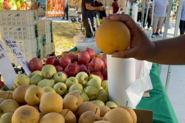 Farmers Markets in Compton California