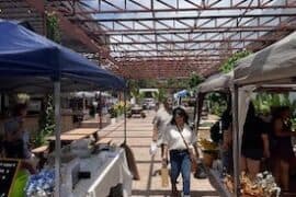 Farmers Markets in Corpus Christi Texas