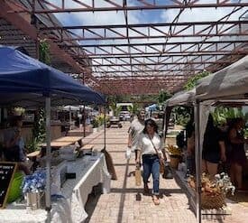 Farmers Markets in Corpus Christi Texas