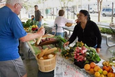 Farmers Markets in Edinburg Texas