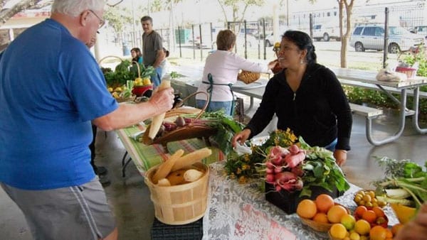 Farmers Markets in Edinburg Texas