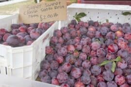 Farmers Markets in Hawthorne California