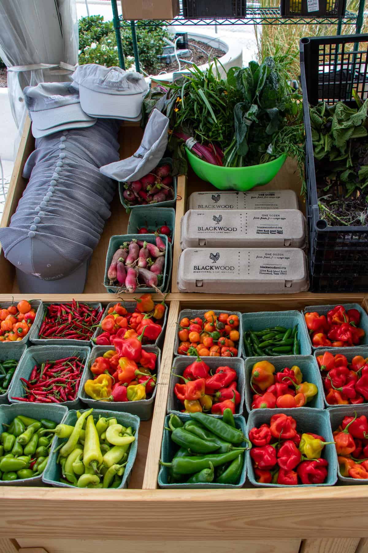 Farmers Markets in Islands New Territories