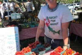 Farmers Markets in Layton Utah