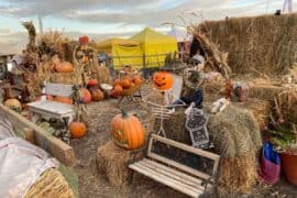 Farmers Markets in Lehi Utah