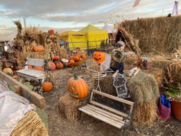 Farmers Markets in Lehi Utah