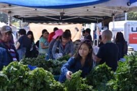 Farmers Markets in Milpitas California