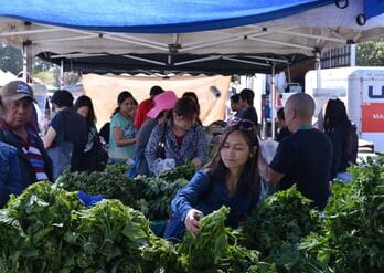 Farmers Markets in Milpitas California