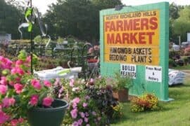 Farmers Markets in North Richland Hills Texas