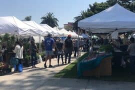 Farmers Markets in Oxnard California