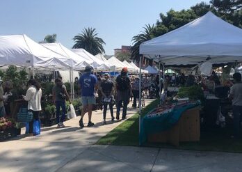 Farmers Markets in Oxnard California