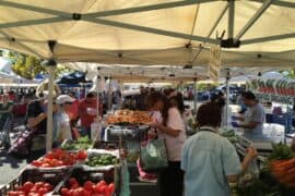 Farmers Markets in Palo Alto California