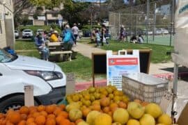 Farmers Markets in Redondo Beach California