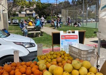 Farmers Markets in Redondo Beach California