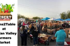 Farmers Markets in San Tan Valley Arizona