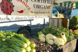 Farmers Markets in Santa Clarita California