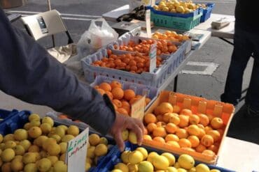 Farmers Markets in Santa Maria California