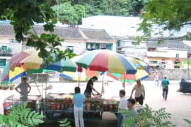 Farmers Markets in Sha Tin New Territories