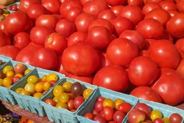 Farmers Markets in South Hill Washington