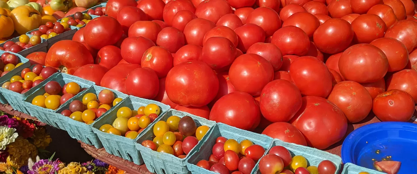 Farmers Markets in South Hill Washington