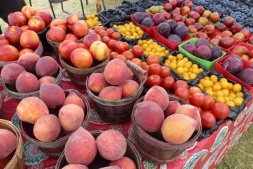 Farmers Markets in Spring Texas