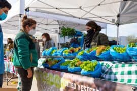 Farmers Markets in Sugar Land City Texas