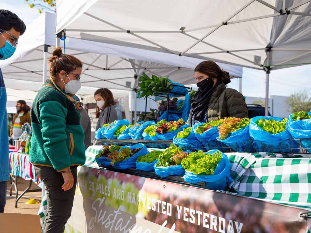 Farmers Markets in Sugar Land City Texas