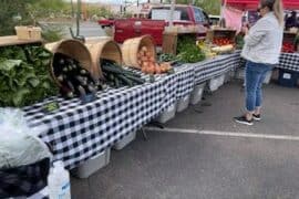 Farmers Markets in Surprise Arizona