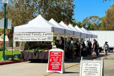 Farmers Markets in Ventura California