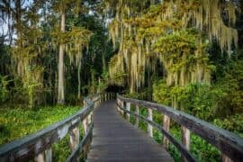 Free Attractions for Little Kids in Augusta-Richmond County Georgia