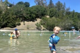 Free Attractions for Little Kids in Castro Valley California