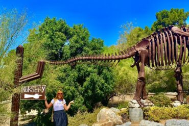 Free Attractions for Little Kids in Eastvale California