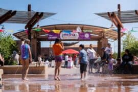 Free Attractions for Little Kids in Las Cruces New Mexico