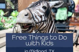 Free Attractions for Little Kids in Midland Texas