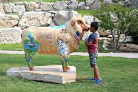 Free Attractions for Little Kids in San Angelo Texas